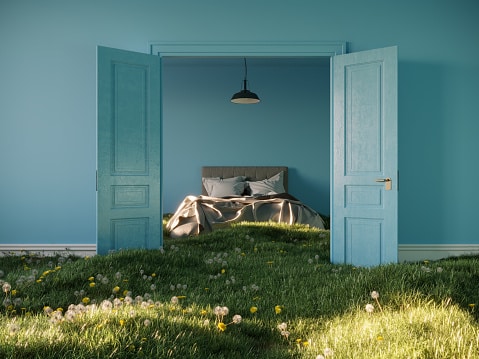 A surreal scene includes a green home covered grass with blue walls which symbolizes the sky. 